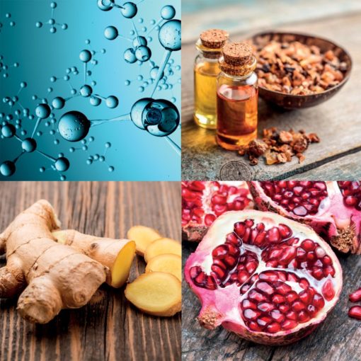 OYSTER SOLHAIR Helyreállító maszk UV szűrővel 150 ml