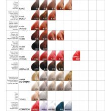 RR Color hajfesték 8.34