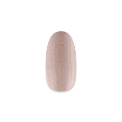 NiiZA Gel Polish 4 ml - 309 hologramm
