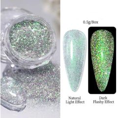 Niiza Aurora Reflective Glitter #1