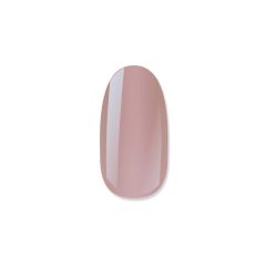 NiiZA Gel Polish 4 ml - 493