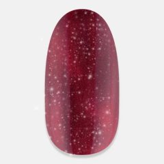 NiiZA Gel Polish 4 ml - 498
