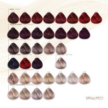 SINGULARITY hajfesték 5/01 100 ml