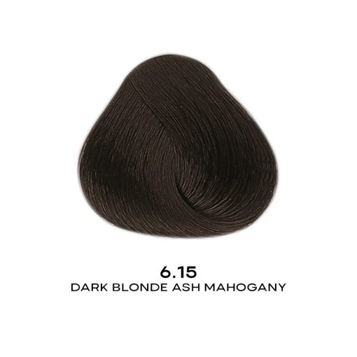 Alfaparf Evolution hajfesték 6.15 60 ml
