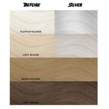 Crazy Color "027" Silver 100ml